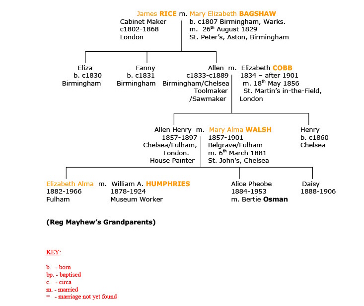Rice Family Tree