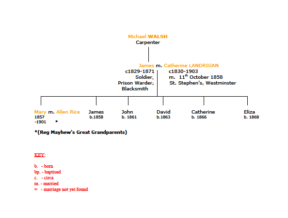 Walsh Family Tree